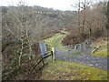 View from a charter train - passing a kissing gate, Dulais valley in SA10 8HT