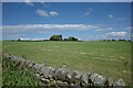A field seen from Gainforth Wath Road, Staintondale in YO13 0EB