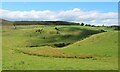 Undulating farmland at Govals in AB54 4JB
