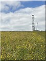 Transmission mast on Cefn Du in LL28 5PN