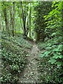 Steep path through the woods in OX20 1EZ