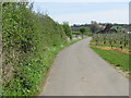 Farm road between Howfield and Tonford Manor Farms in CT2 9BH