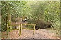 Footbridge on footpath south of Minstead House in SO43 7PE