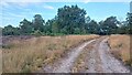 Sandy track on Yateley Common in Blackwater and Hawley