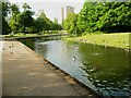 Pond in Town Centre Gardens, Stevenage in Stevenage
