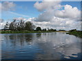 River Avon above Ibsley in SP6 2PN