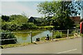 The village pond, Sandon in SG9 0QS