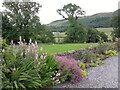 Flower border, Knockraich Farm in G63 0YB