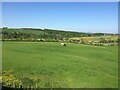 From an Edinburgh-Dundee train - Horses grazing in fields near Markinch in KY7 4AJ