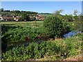 From an Edinburgh-Dundee train - River Eden at Cupar in KY15 5BY