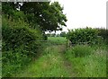 Field entrance and footpath in SY13 4EP