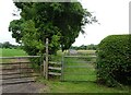 Bridleway off Dark Lane in SY13 4AG