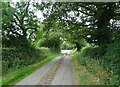 Dark Lane approaching the A525 in SY13 4EN