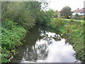 River Crane From Bridge Meadway Twickenham in TW2 6PH
