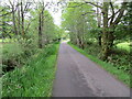 Minor tree-lined road near to Torr Loisgte in PH38 4ND