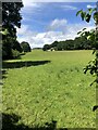 Field near Frith Common in DY14 9JD