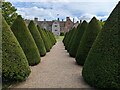 The Yew avenue at Littlecote House in RG17 0SU