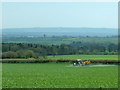 2008 : Crop spraying near Kingsdown in SN13 8BP