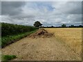 Manure heap and hedgerow, Butlersbank in SY4 4HG