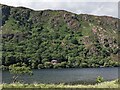 Looking across Llyn Dinas in Beddgelert Community