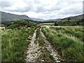 The track to Hafod Owen in LL55 4NL