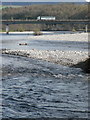 Salmon fishermen in the River Tummel in PH16 5TD