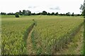 Footpath to Middle Aston in OX25 5PX