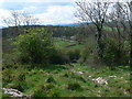 Looking south from Bedd y Cawr in Cefnmeiriadog Community