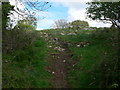 Footpath up Bedd y Cawr in Cefnmeiriadog Community