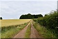 Wicken Green Village: Farm track in Syderstone