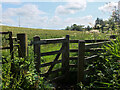 Gate into Serpentine Wood, Penicuik Estate in EH26 9YY