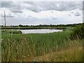 Fiskerton Nature Reserve in LN3 4HU