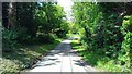 Shaded lane near the watercress beds in Bullington