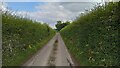 Lane north of Hunton Manor Farm in SO21 3PZ