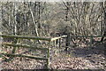 Stile into Gilridge Wood in TN8 5NH