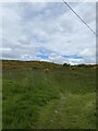 Moorland paths to Hill of Alyth in PH11 8JG