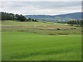 Aberdeenshire fields in AB34 5AJ
