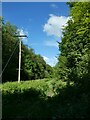 Path and power line, Chawton Park Wood in GU34 5ED