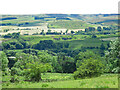 Weardale around Frosterley in DL13 2RQ