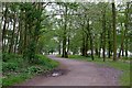 Footpath, Thorndon Country Park in CM13 3LJ