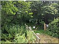 Path into woodland at Sparkford Bridge in BA22 7LA