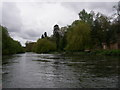 River Avon above Avon Castle in BH24 2BA
