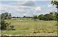 Countryside at Teigh in Teigh