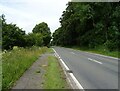 A470 beside woodland in SY17 5DH
