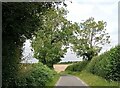 Road between Hedenham and Woodton in NR35 2DE
