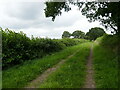 Track near Lodge Farm in Besthorpe