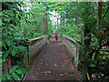 Track over the bridge in Gregynog Hall grounds in SY16 3PW