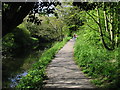 The Stour Valley Walk as it approaches Chartham in CT4 7HU