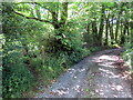 Llwybr yn gadael trac / Path exits a track in SA34 0YD