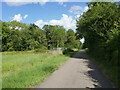 Entering Grafton Park Wood in North Northamptonshire